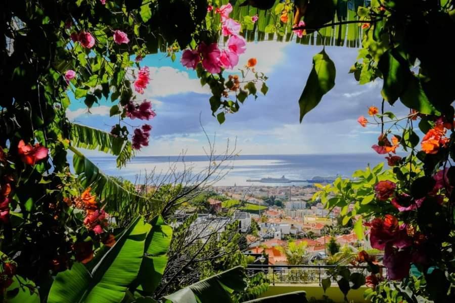 Granny'S House View Villa Funchal  Buitenkant foto